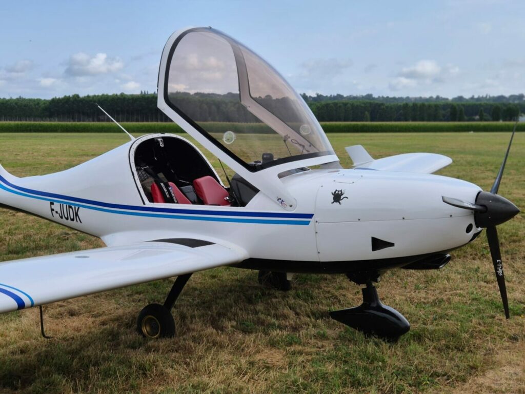 sparviero